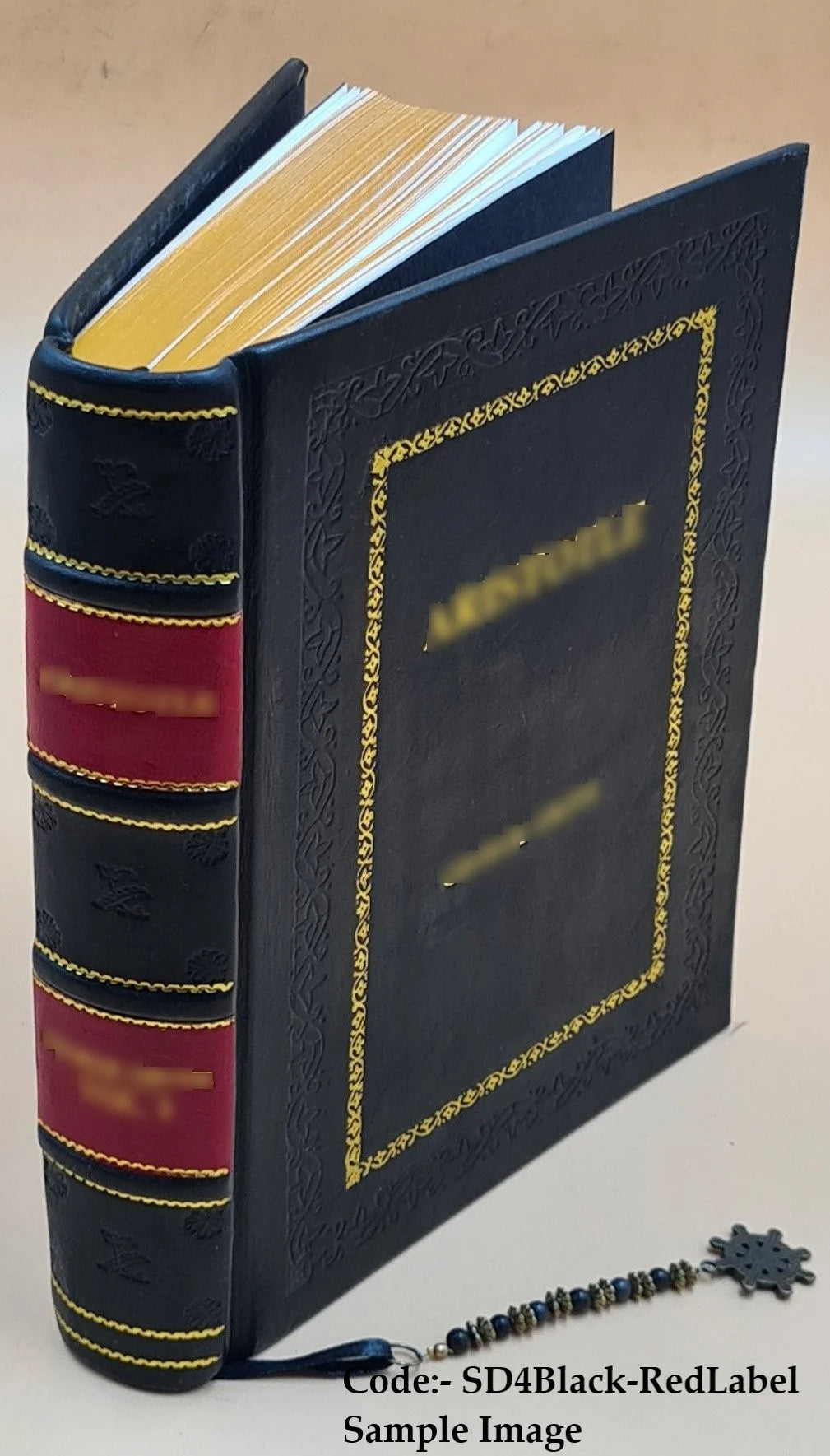 The Negro in Chicago; a Study of Race Relations and a Race Riot 1922 S271