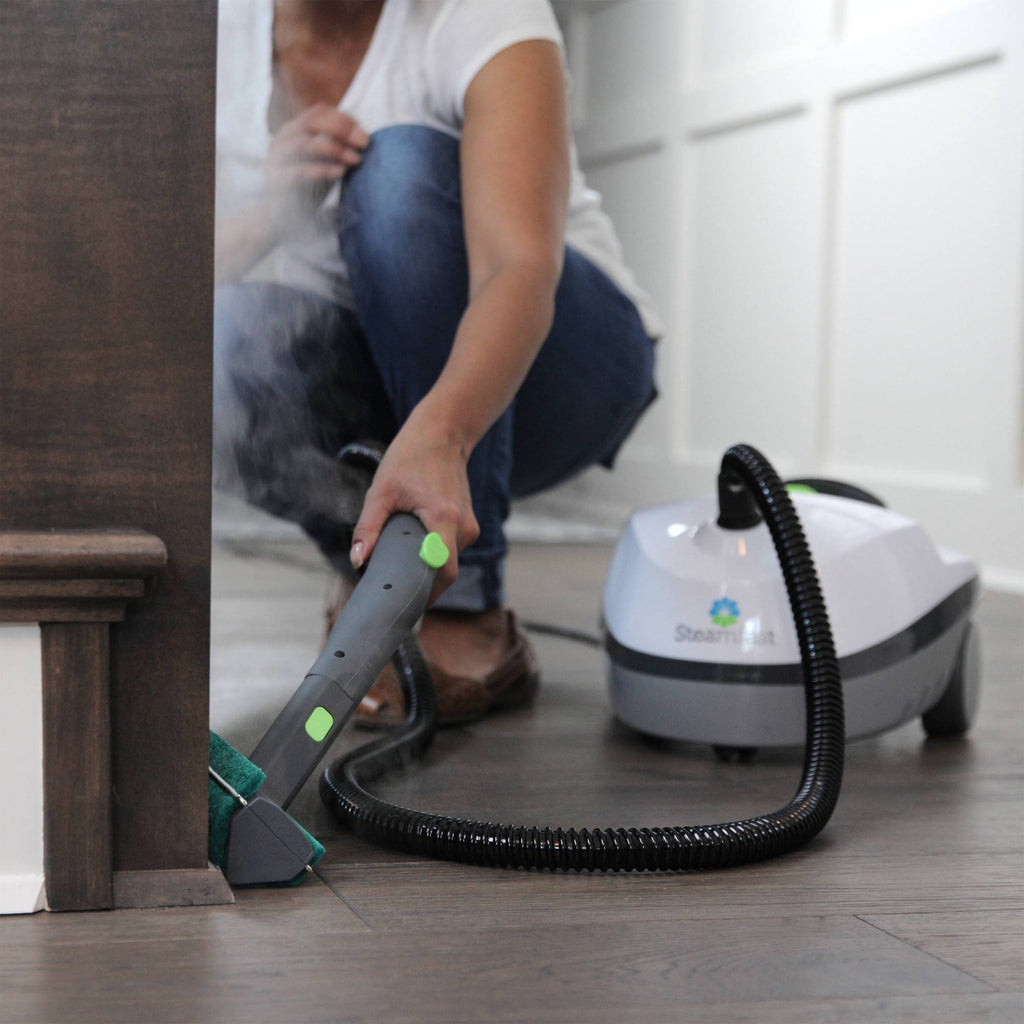 Canister Steam Cleaner Z247