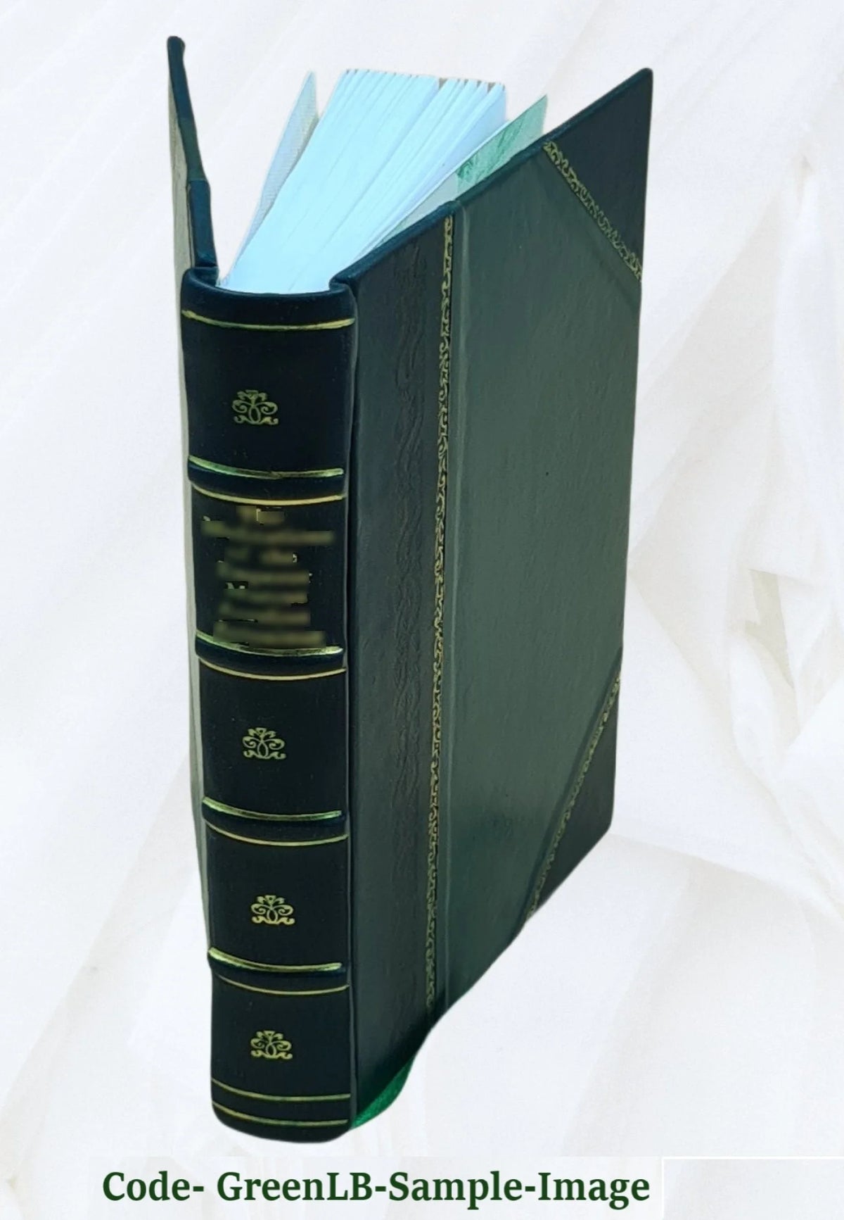 Leather Bound Book U8696