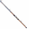 Spinning Rod A6041