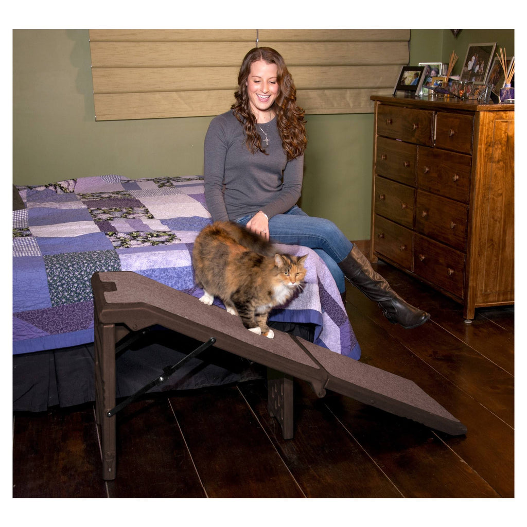 Free-Standing Extra Wide Carpeted Pet Ramp N853252