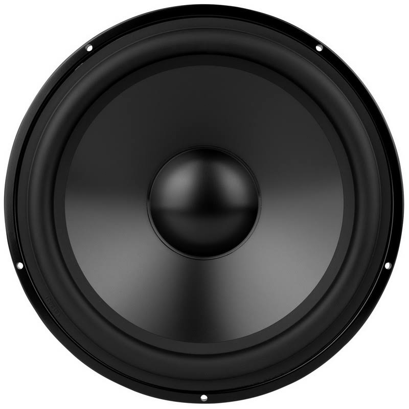 12x22 Aluminum Cone Woofer T691