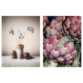 Artichokes Poster 12x16 M80017