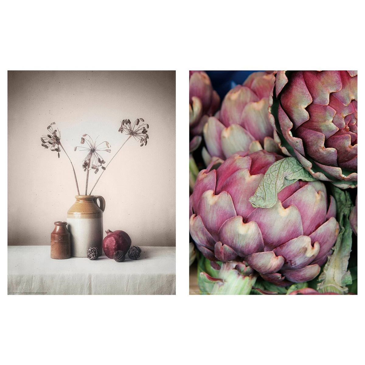 Artichokes Poster 12x16 M80017