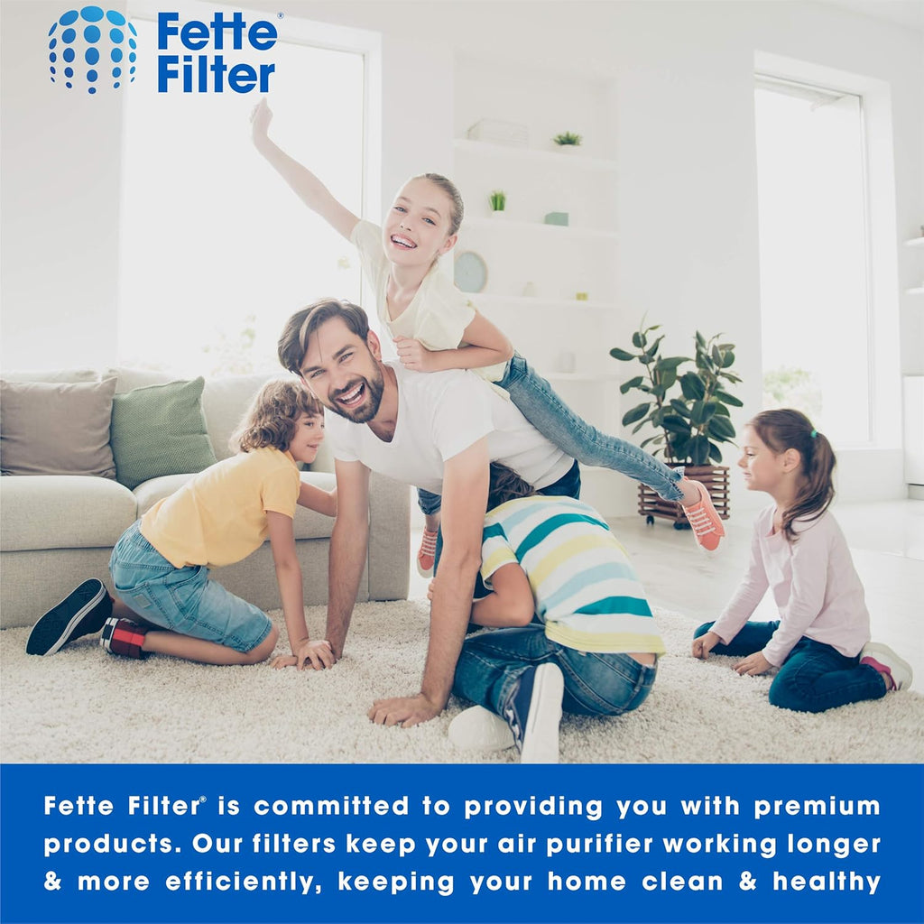 2 Hepa Filters & 8 Carbon Pre Filters Pack of 2 S144