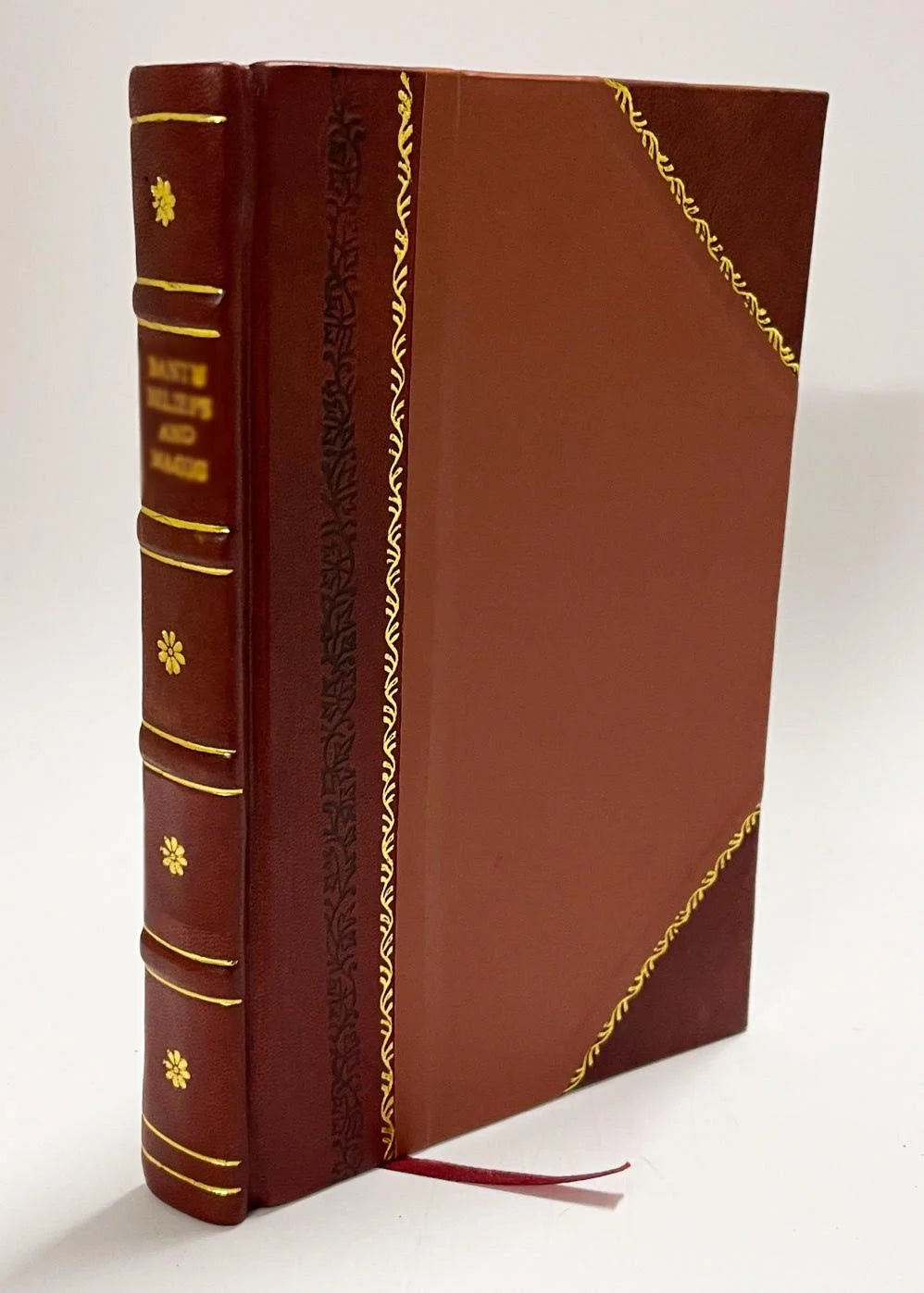 Leather Bound Book I823