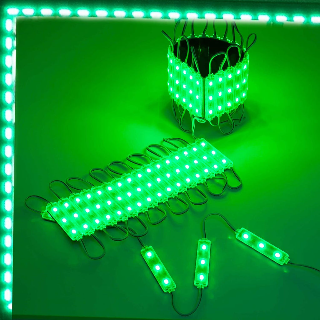 60 Green LED Light Module with 12v AC Power Package Z10623