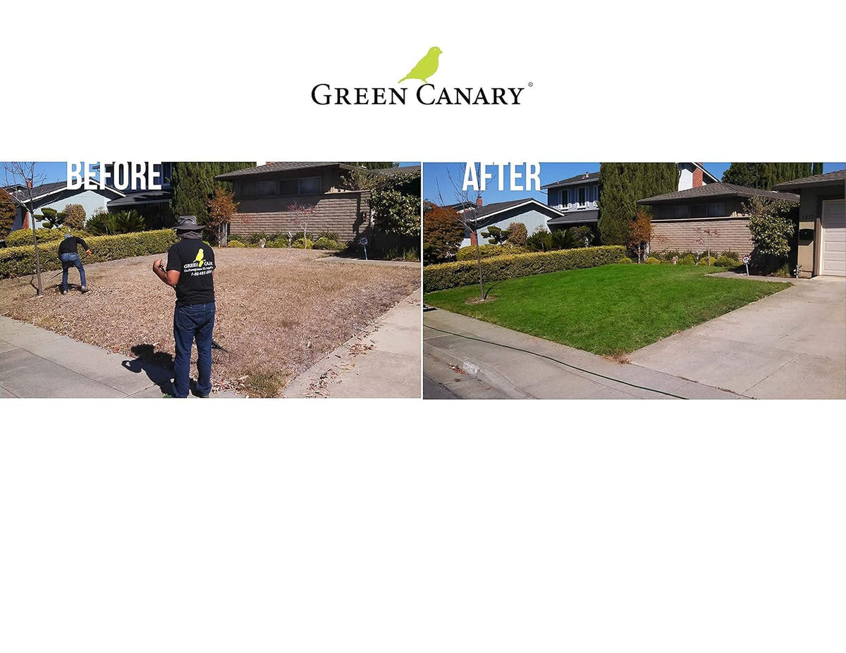 2 Pack Green Grass Paint, 4 Liter Bottles O385