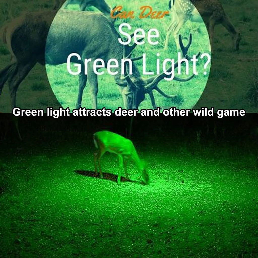 Zoomable Green Red UV Flashlight Black Light Tactical Torch T7254