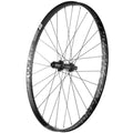 29x22 Rear Wheel Disc R95981