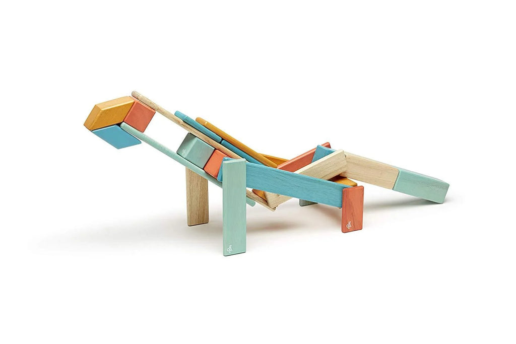 24 Piece Tegu Magnetic Wooden Block Set E629421