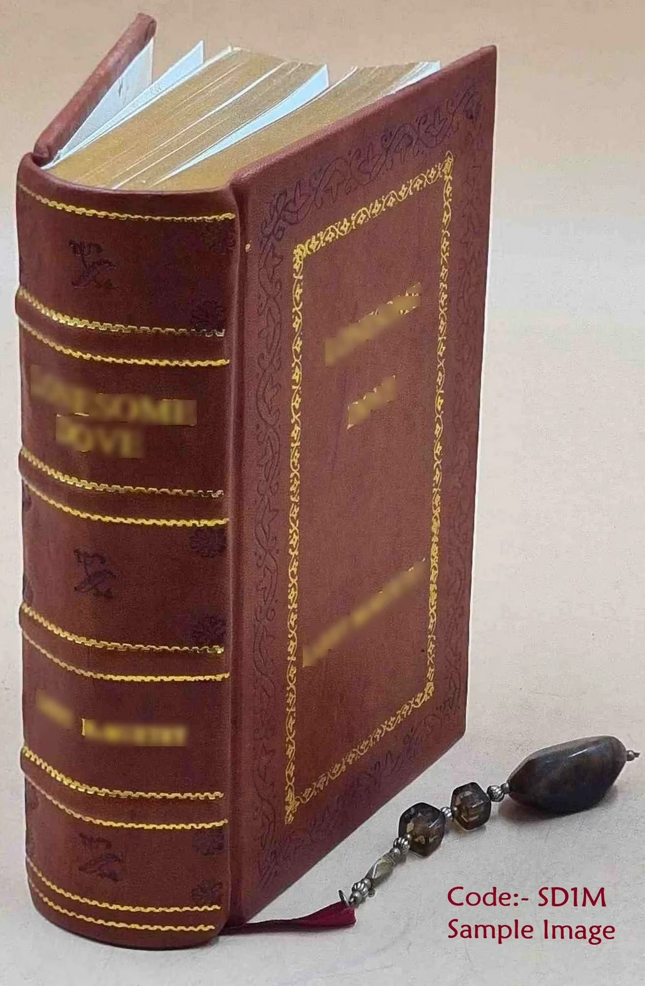 The Negro in Chicago; a Study of Race Relations and a Race Riot 1922 S271