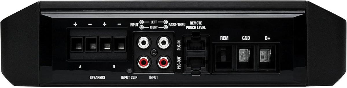 12" Subwoofer and Mono Amplifier V1371