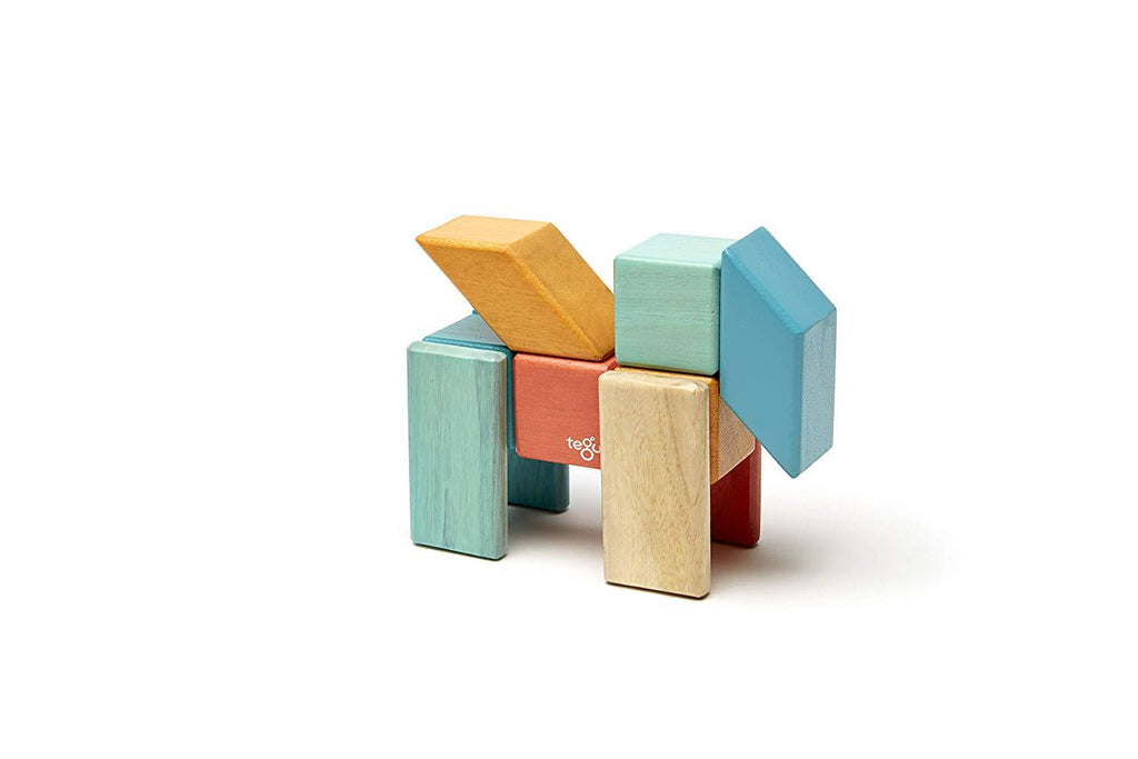 24 Piece Tegu Magnetic Wooden Block Set E629421