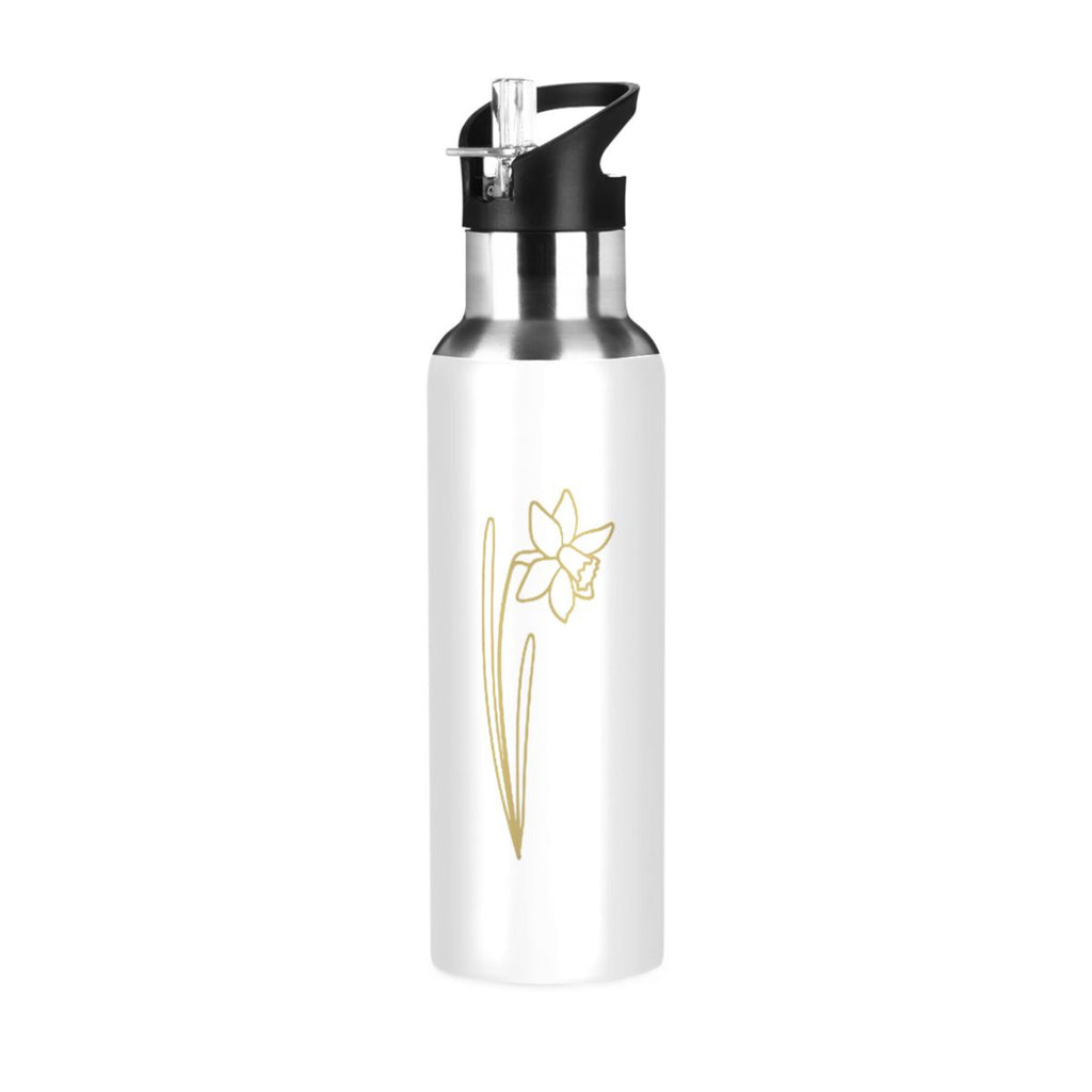 Stainless Steel Insulated Water Bottle with Straw Lid O127