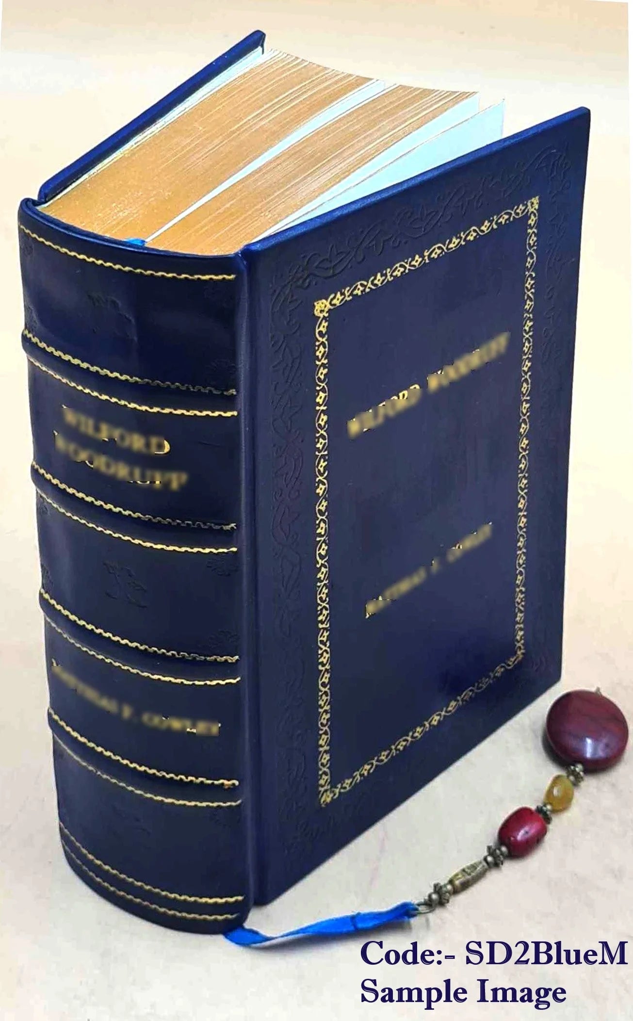 The Negro in Chicago; a Study of Race Relations and a Race Riot 1922 S271