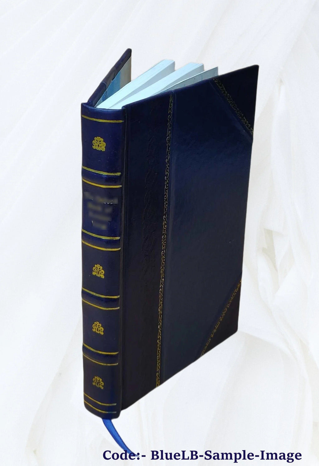 Leather Bound Book L336379