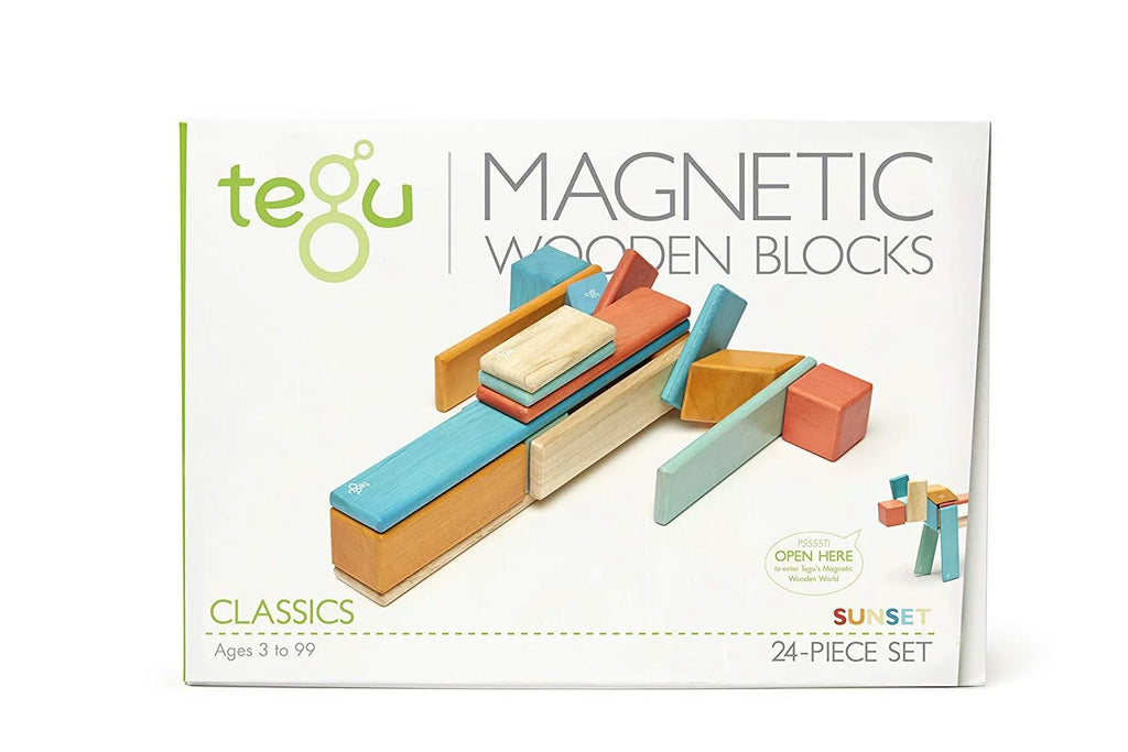 24 Piece Tegu Magnetic Wooden Block Set E629421