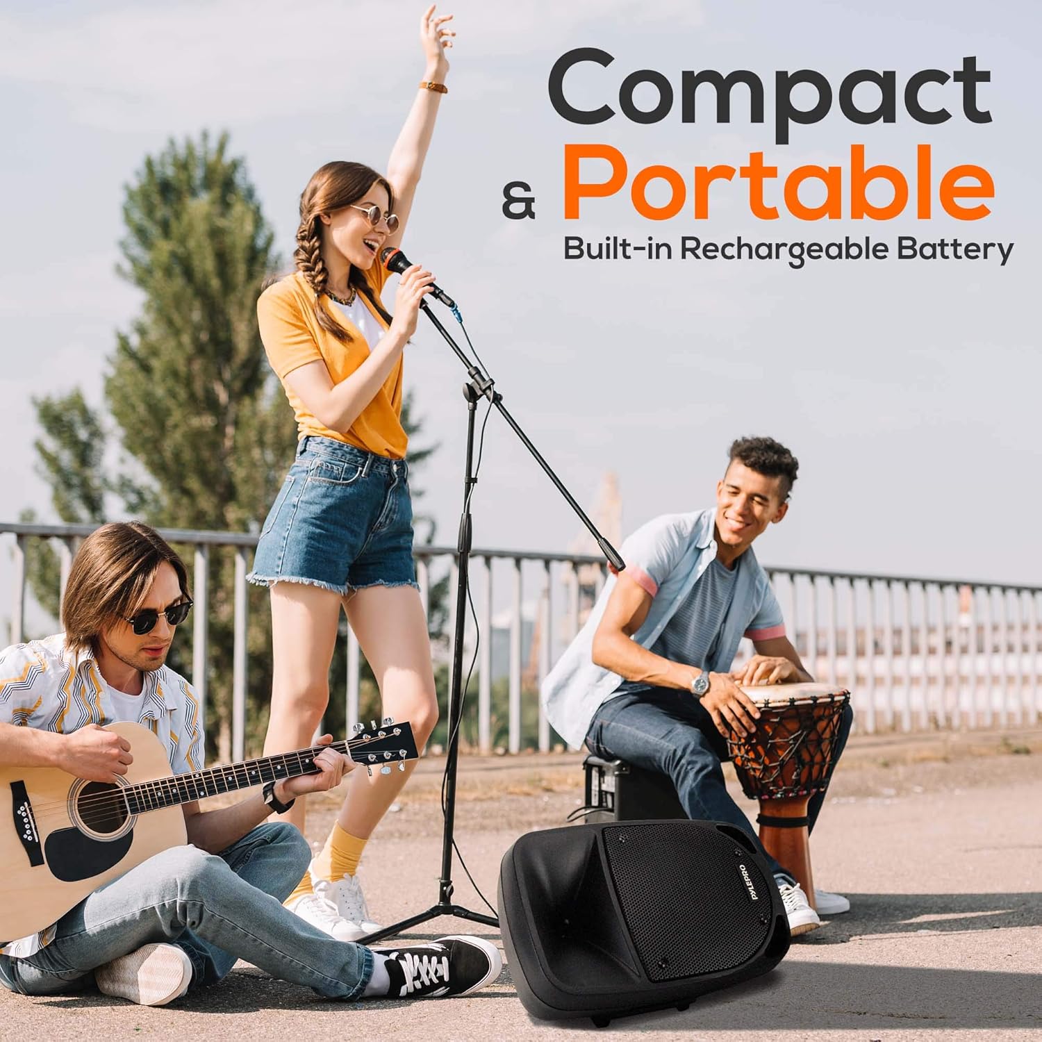 1200W Portable Bluetooth PA Speaker with UHF Wireless Microphone N888
