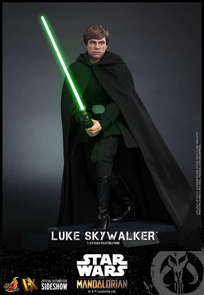 Luke Skywalker Collectible Figure D341443