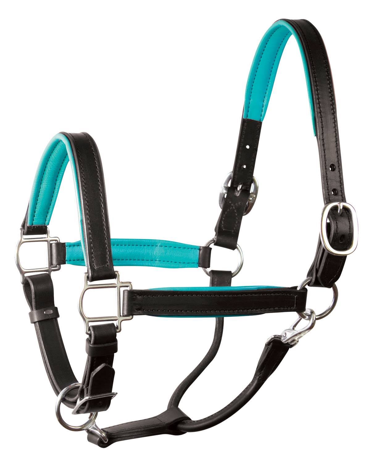Soft Padded Leather Horse Halter S999
