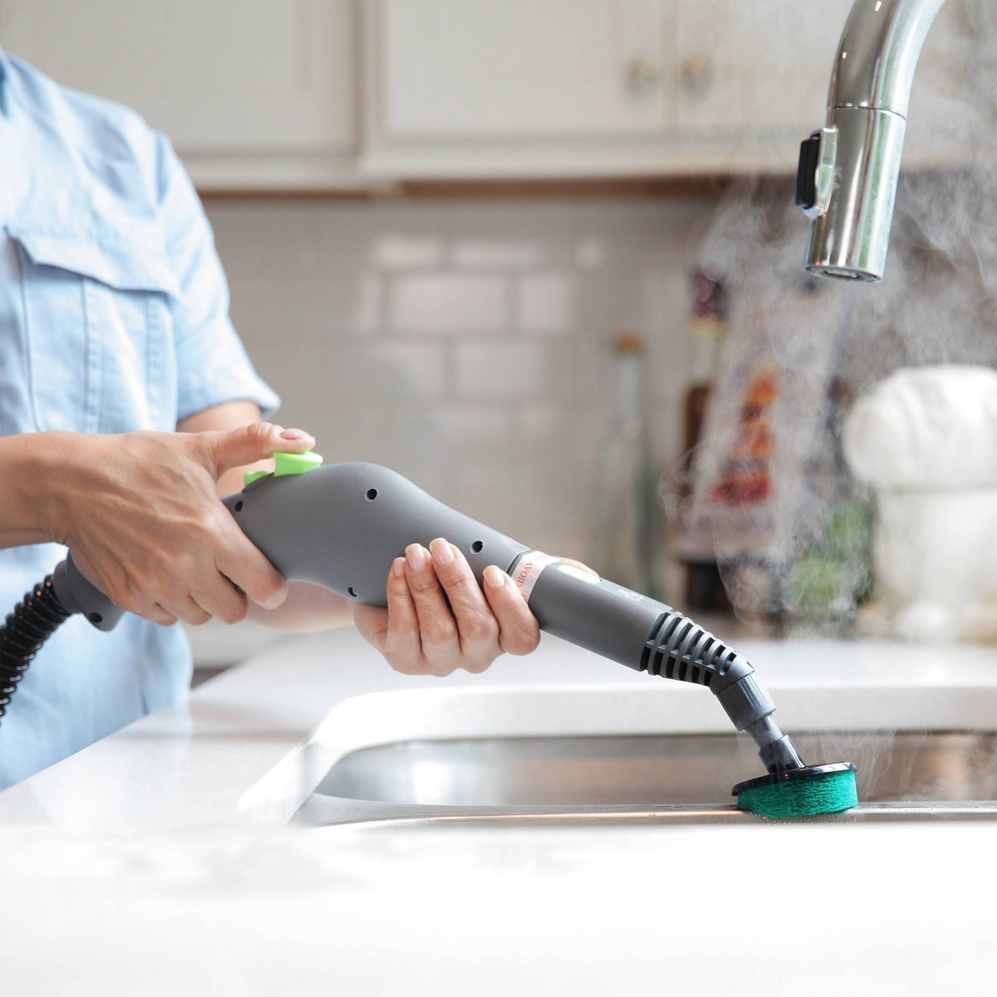 Canister Steam Cleaner Z247