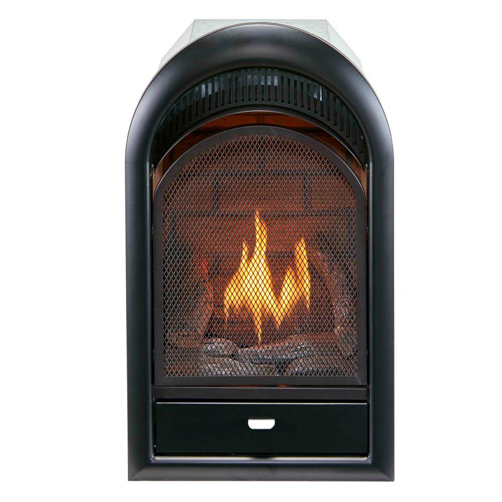 Dual Fuel Ventless Fireplace Insert, 15,000 BTU, Brick Liner F7901
