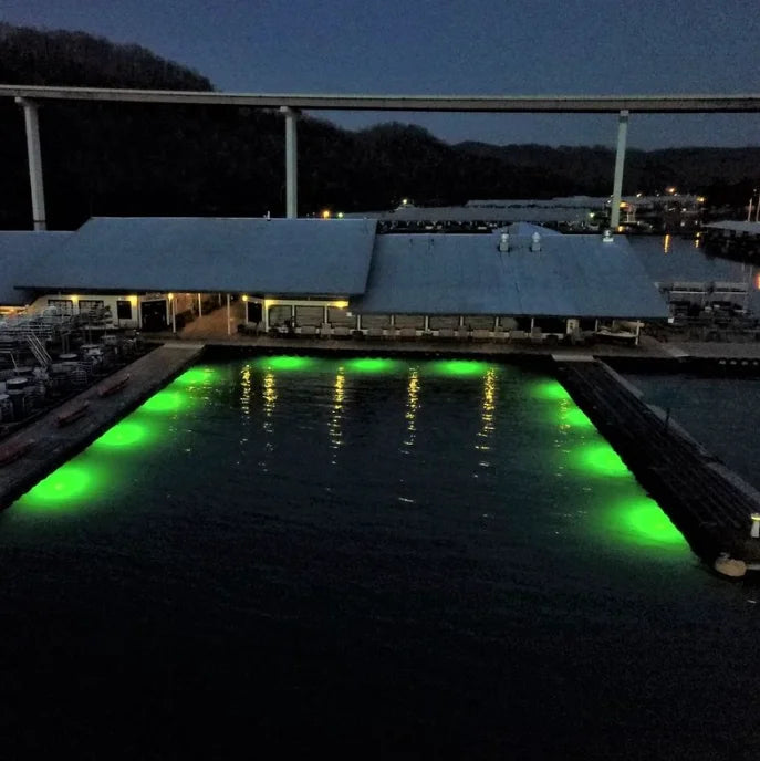 12W LED Floating Fish Light with 20' Cord F232525