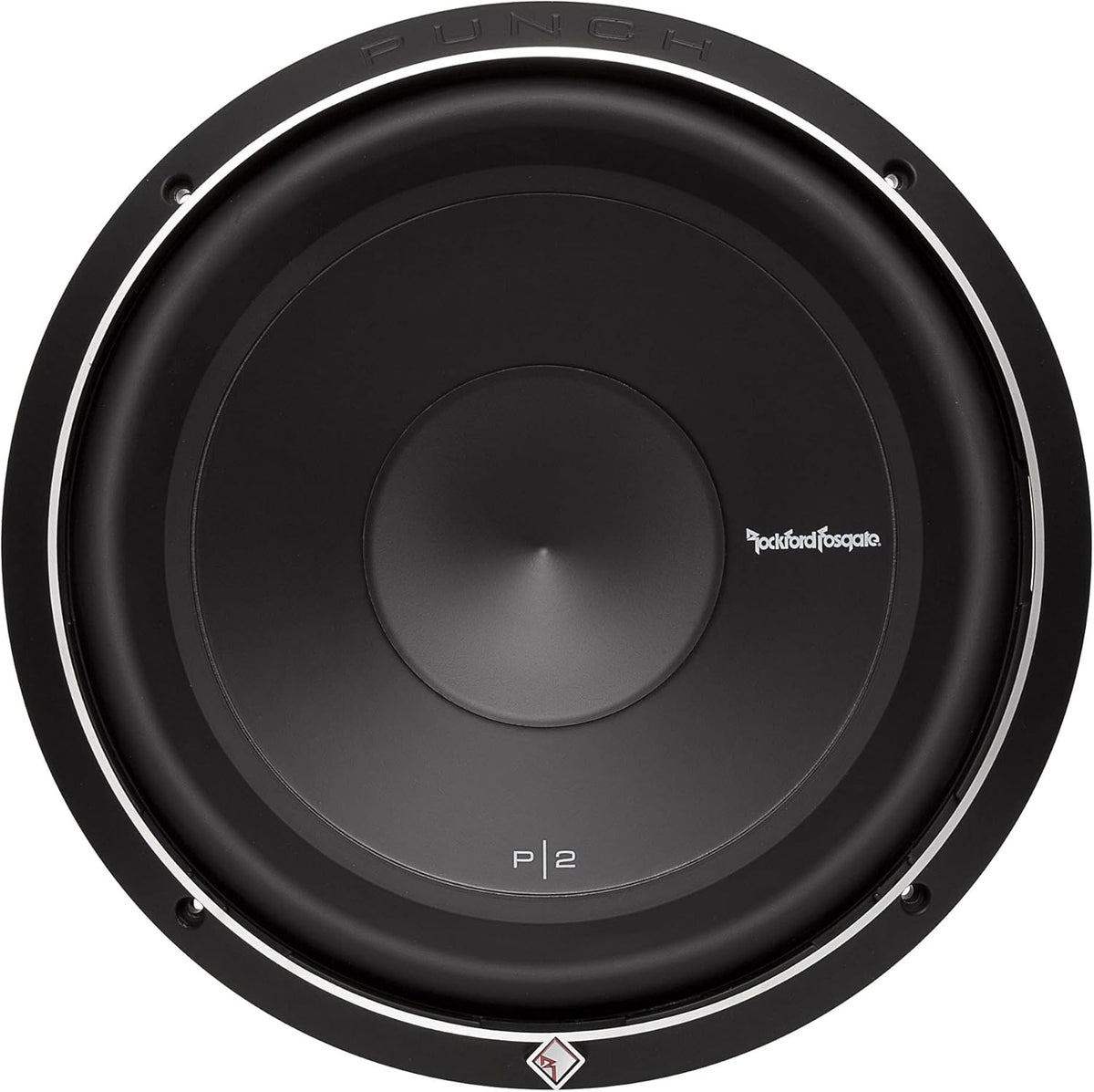 12" Subwoofer and Mono Amplifier V1371