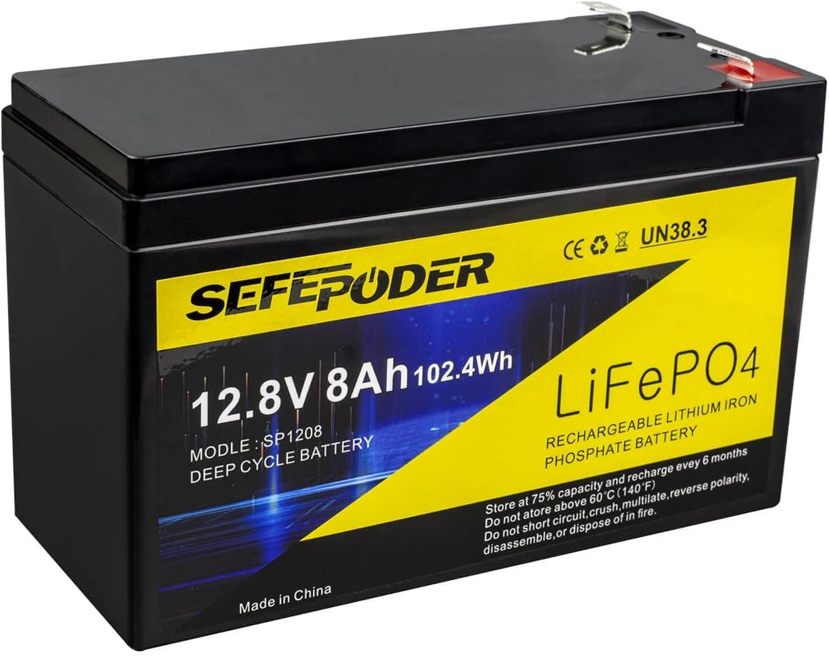 12V 12Ah LiFePO4 Battery with Built-in BMS T20006