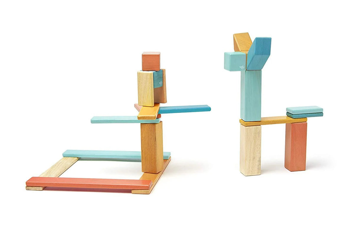 24 Piece Tegu Magnetic Wooden Block Set E629421