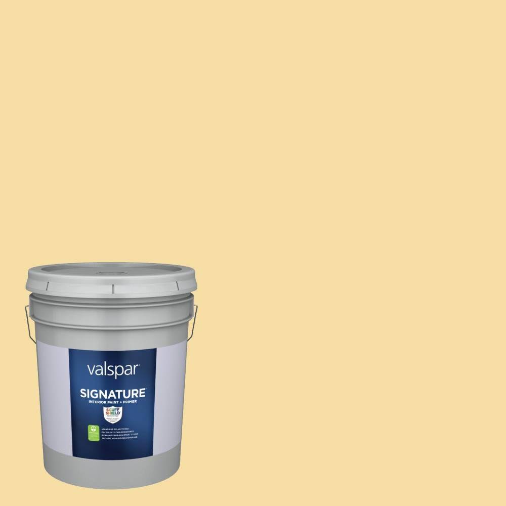 Satin Interior Paint (5-Gallon) R895