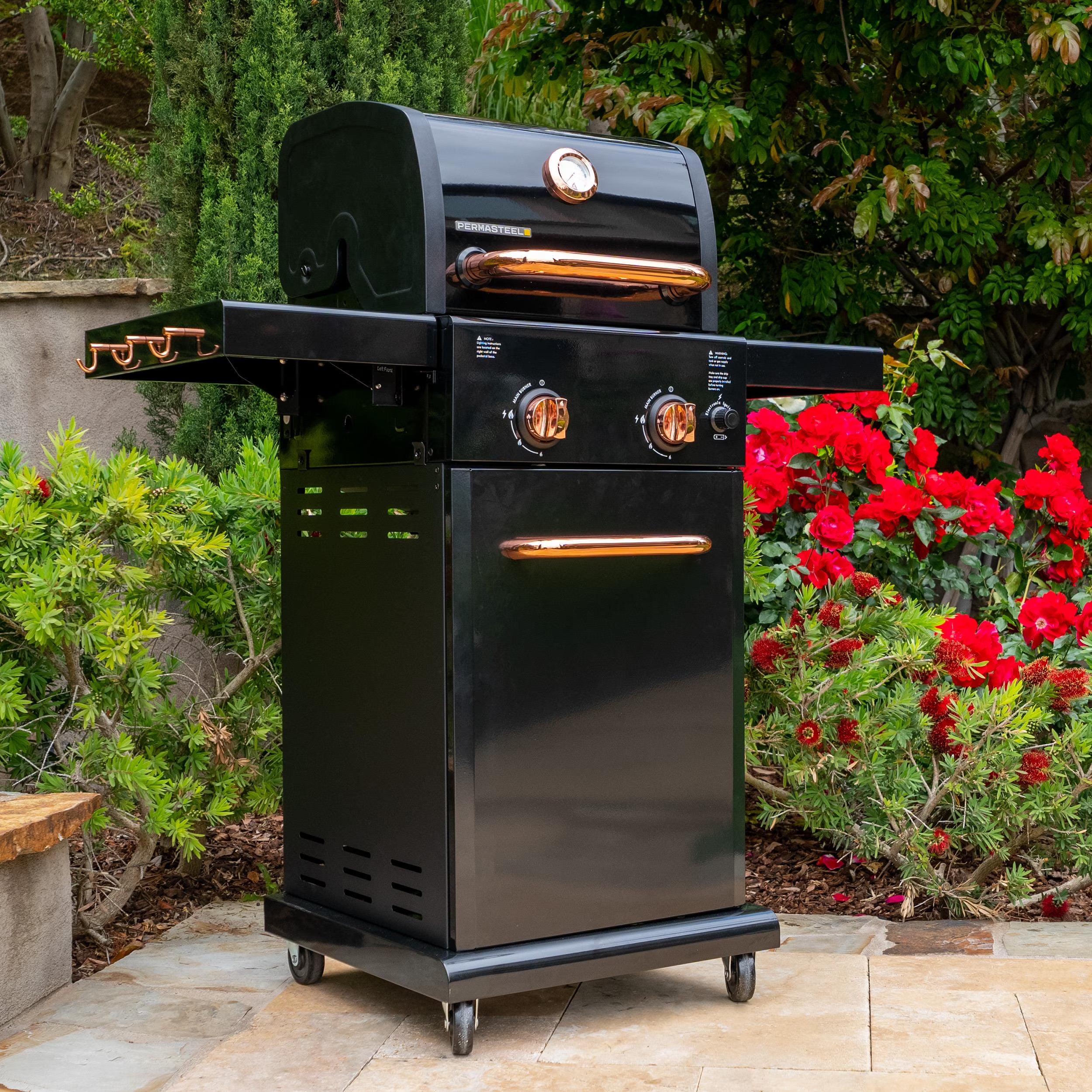 Black 2-Burner Compact Propane Gas Grill with Foldable Sides V510883