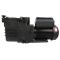 Variable Speed Inground Pool Pump B66477