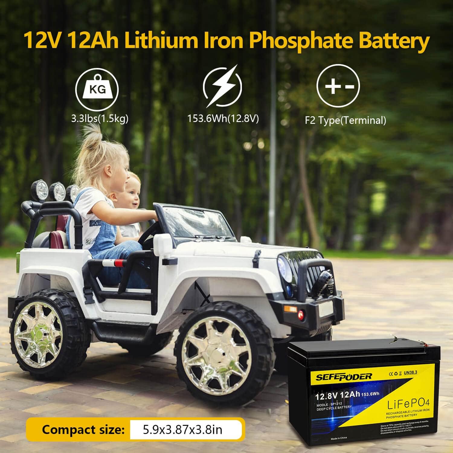 12V 12Ah LiFePO4 Battery with Built-in BMS T20006