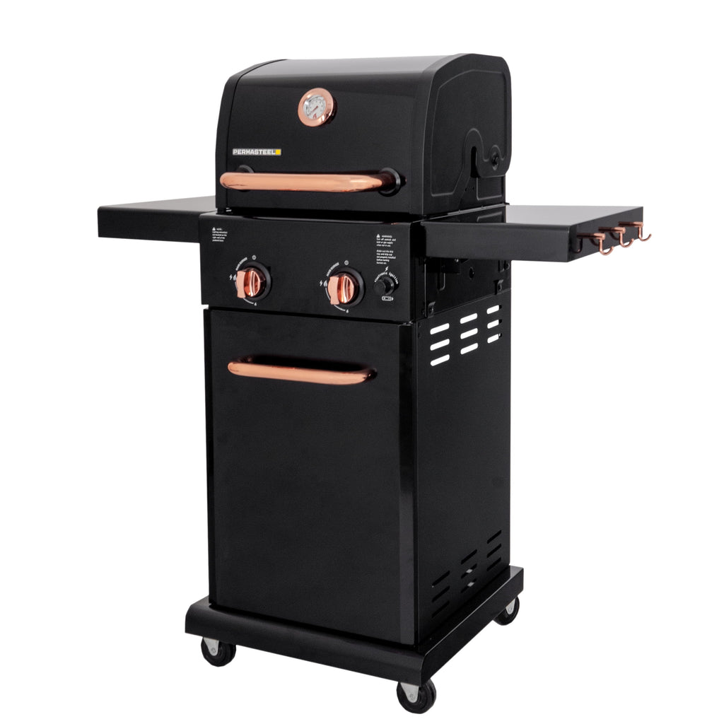 Black 2-Burner Compact Propane Gas Grill with Foldable Sides V510883
