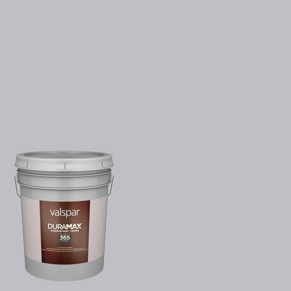 Exterior Paint (5-Gallon) E59896