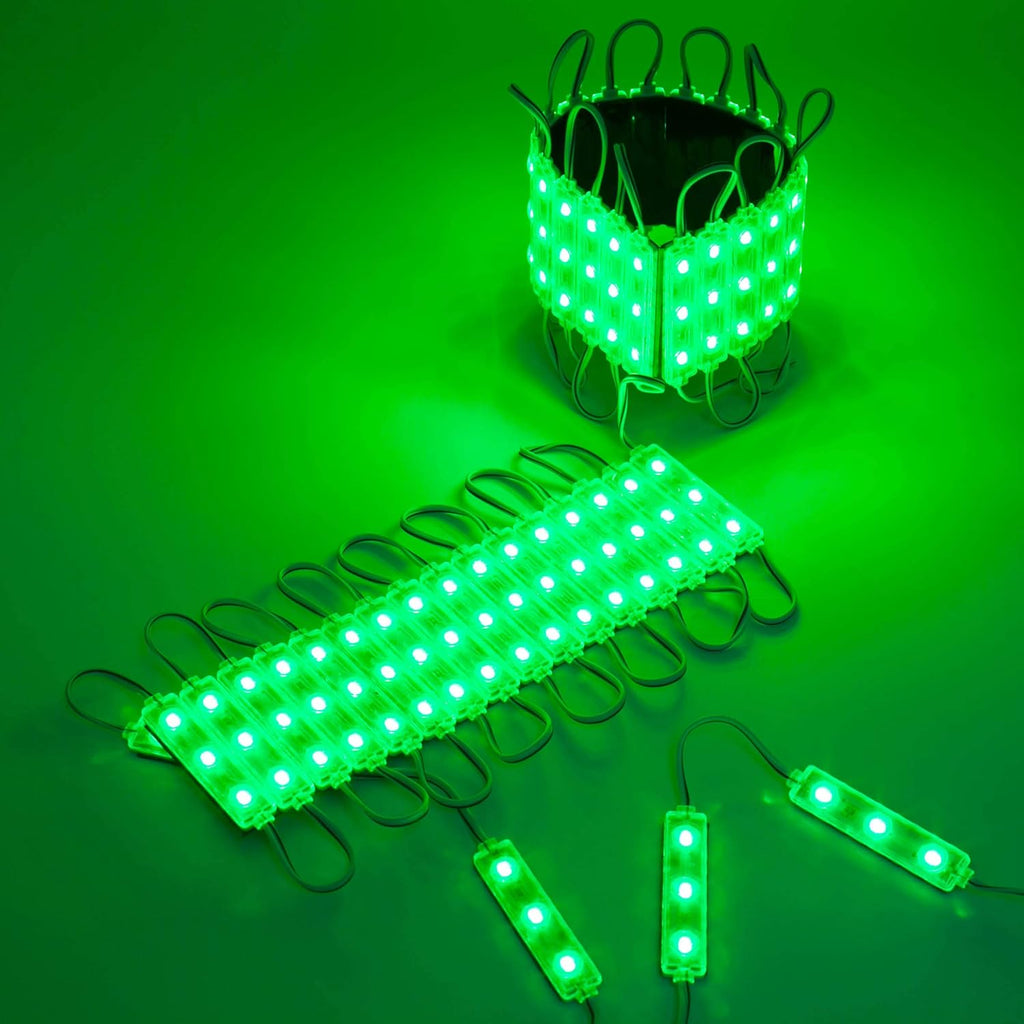 60 Green LED Light Module with 12v AC Power Package Z10623