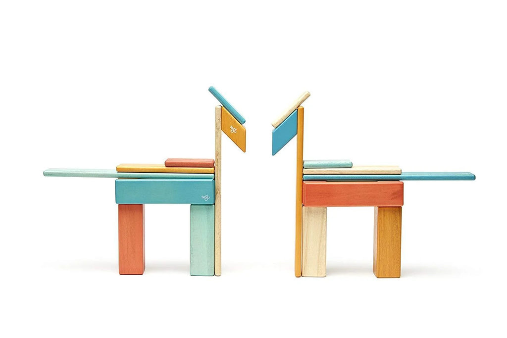 24 Piece Tegu Magnetic Wooden Block Set E629421