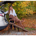 Free-Standing Extra Wide Carpeted Pet Ramp N853252