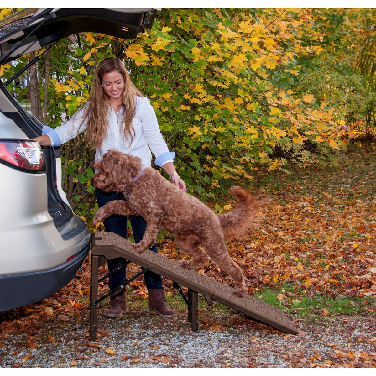 Free-Standing Extra Wide Carpeted Pet Ramp N853252
