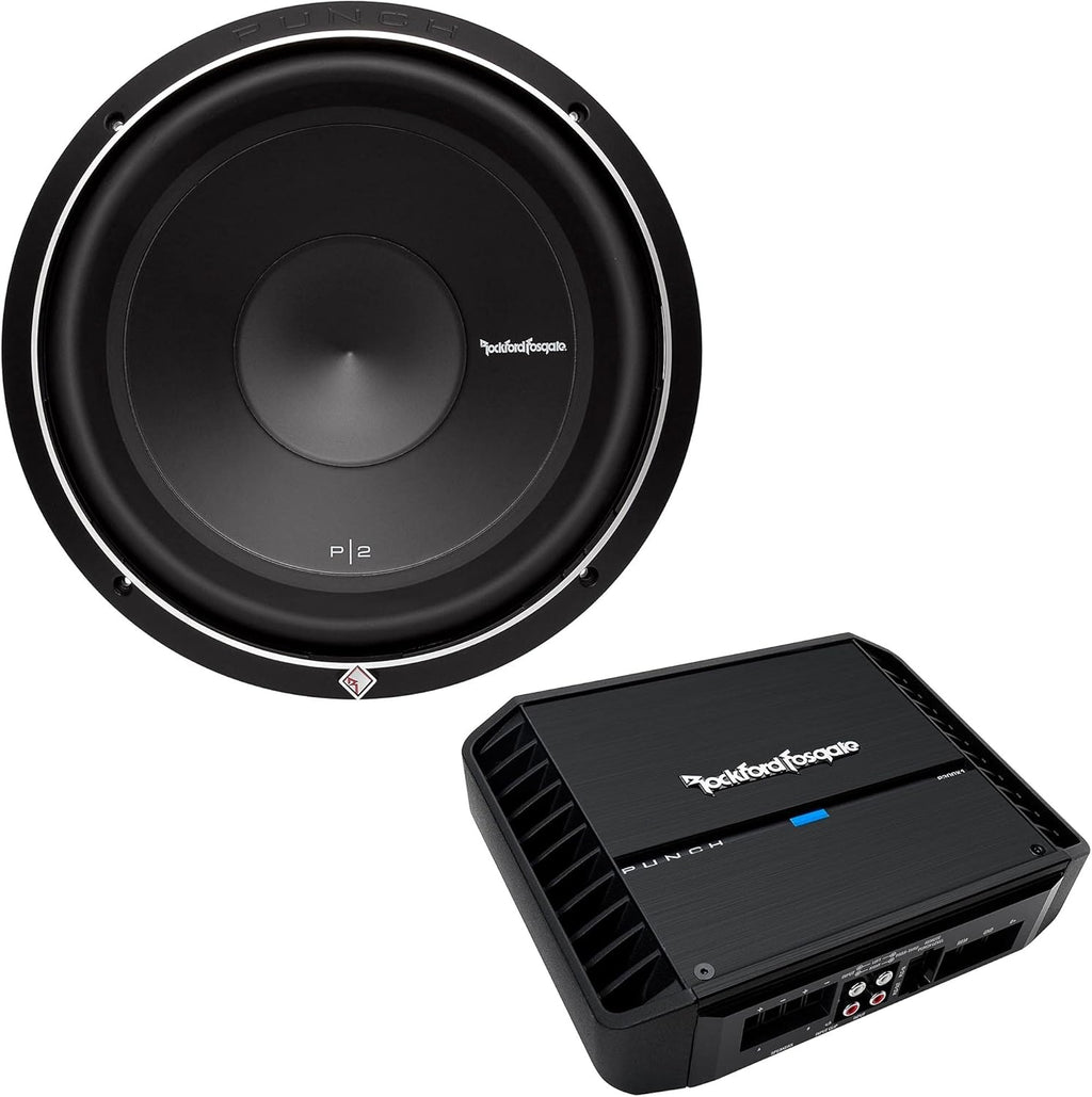 12" Subwoofer and Mono Amplifier V1371