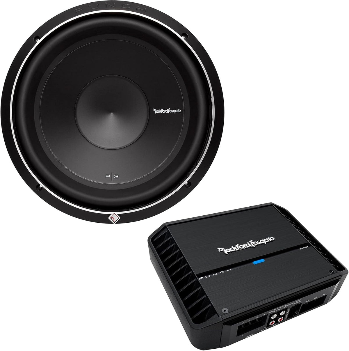 12" Subwoofer and Mono Amplifier V1371