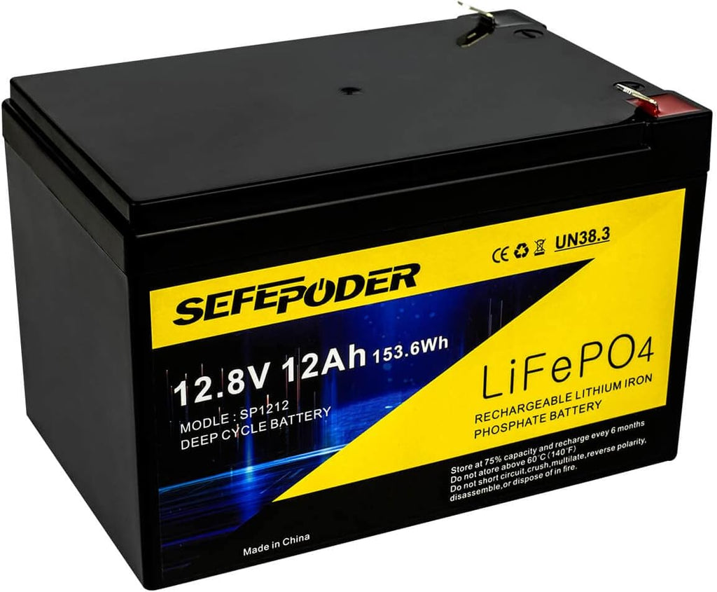 12V 12Ah LiFePO4 Battery with Built-in BMS T20006