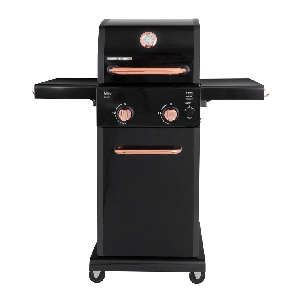 Black 2-Burner Compact Propane Gas Grill with Foldable Sides V510883