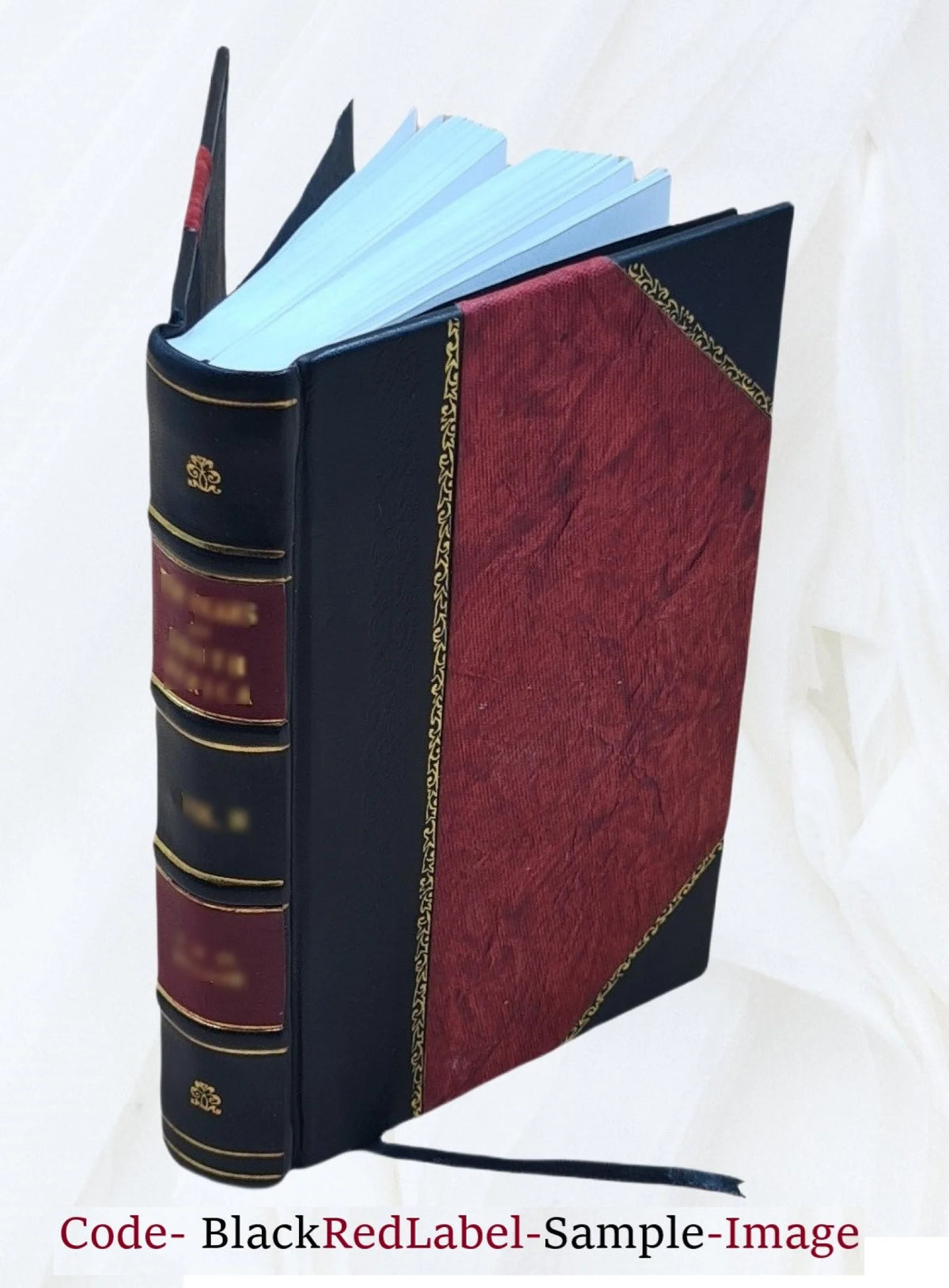 Leather Bound Book U8696