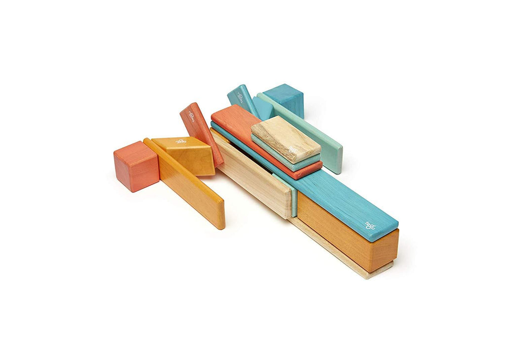 24 Piece Tegu Magnetic Wooden Block Set E629421